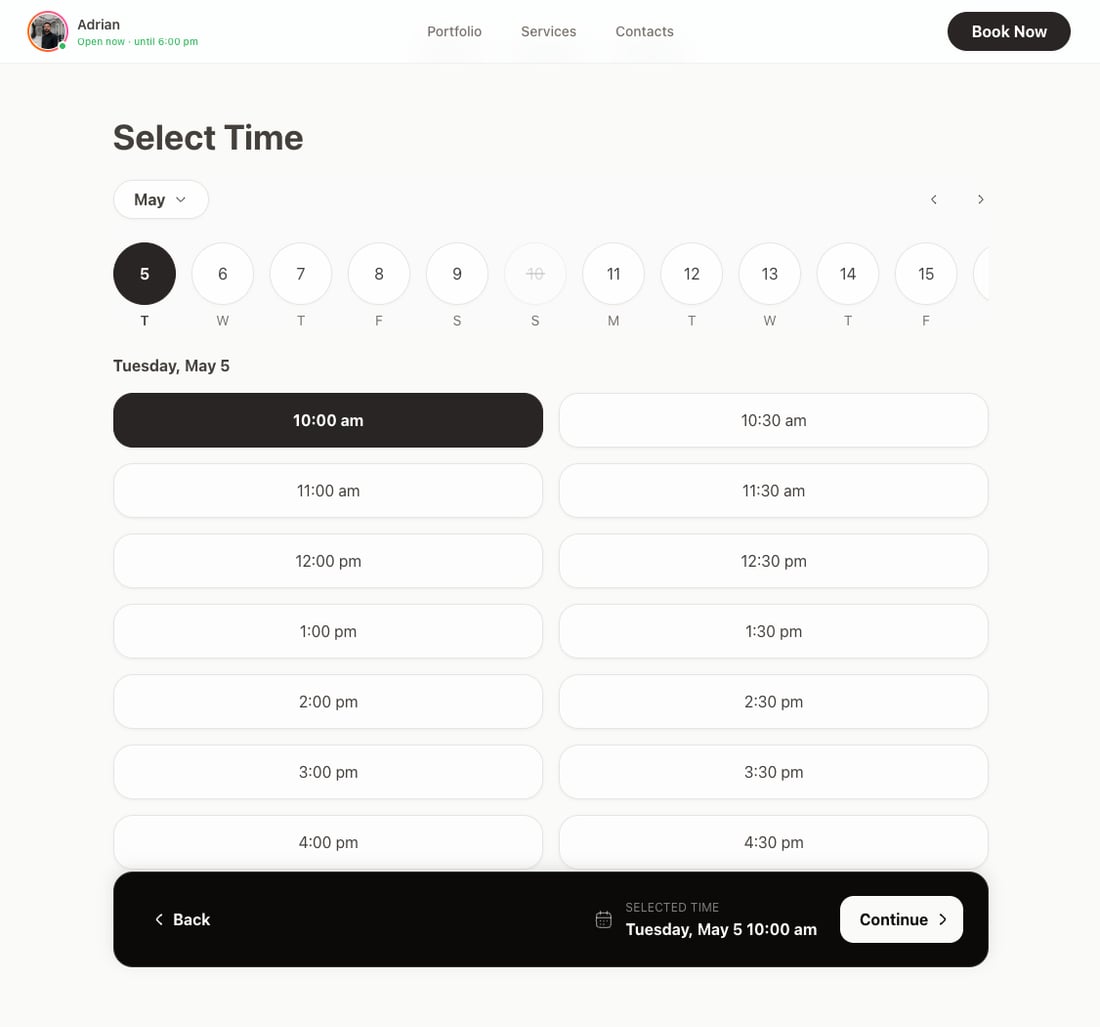 Select time step preview